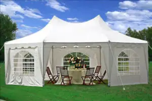 Delta Decagonal 29 x 21 Wedding Party Tent