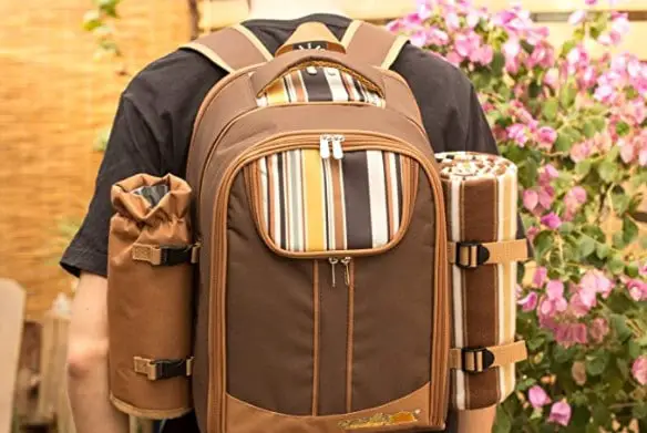 Best Picnic Backpack