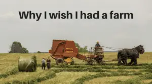 Why I wish I had a farm